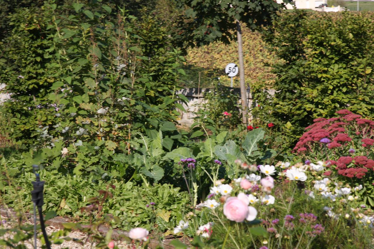 Chateau Manoir De La Leche Touvre Bagian luar foto